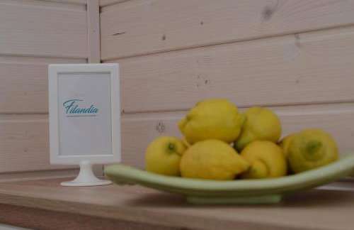 Domki Filandia - Foto 26