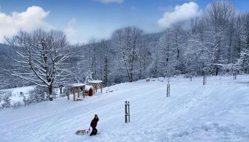 Drwalówka - Domek "POD GRAPĄ" - Foto 2
