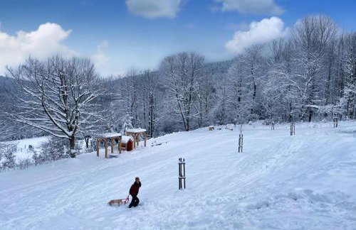 Drwalówka - Domek "POD GRAPĄ" - Foto 2