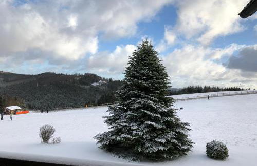 Ferienwohnung Pistenblick - Photo 32