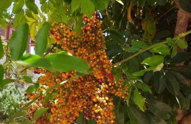 Il Lentischio holiday home - Foto 52