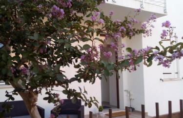 The judas trees - Foto 1