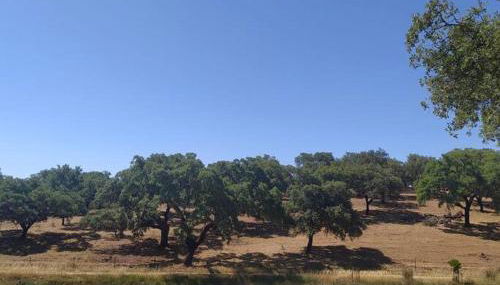 Casa do Forno Évora retreat - Foto 3