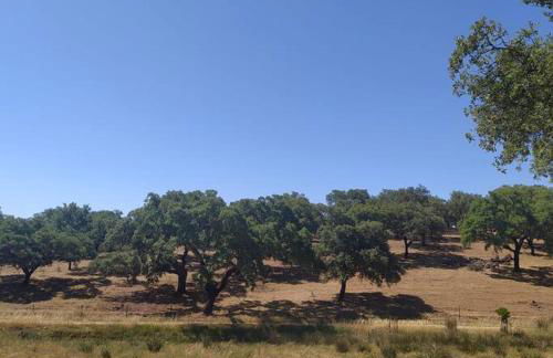 Casa do Forno Évora retreat - Foto 3