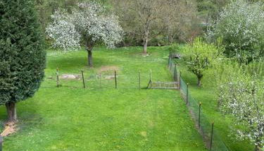 Ferienhaus Alfbach - Foto 2