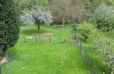 Ferienhaus Alfbach - Foto 2