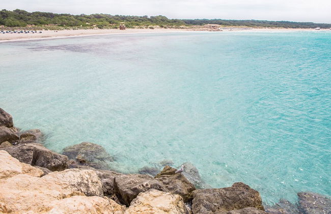 Mosaic in Sa R Pita - Foto 22