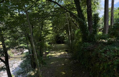 Les Cèdres - Foto 44