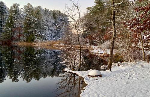 Clear Pond Suite - Photo 63