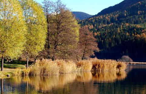 Ca' del Pettirosso - Foto 40