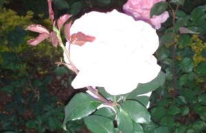 Teresopolis Duplex Green Valley - Photo 63