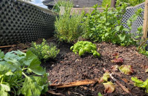 Ferienhaus am Hennesee - Foto 18