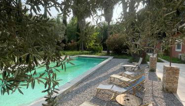 Innoasis - Photo 5, Garden, sunbed