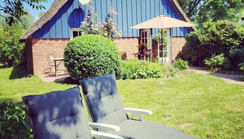 Die blaue Reetdachkate am Deich - Photo 2, Garden, Garden view