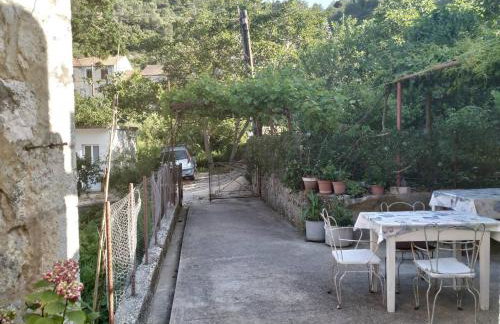 Apartments with parking space Prozura, Mljet - 22331 - Foto 4