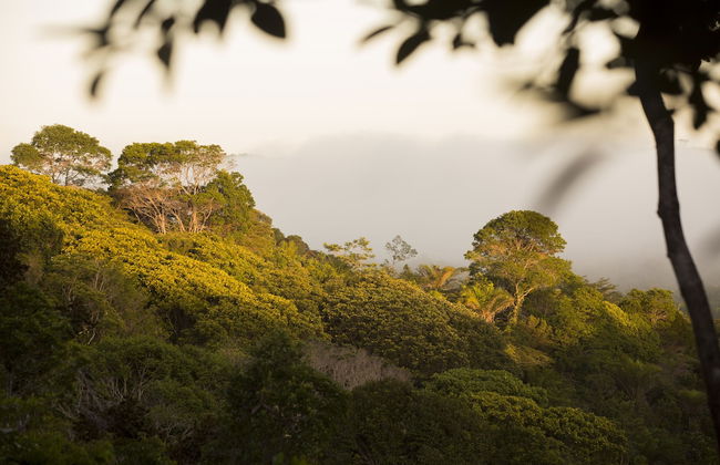 KA BRU Forest Villa - Foto 32