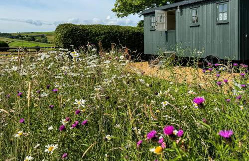 1 Bed in Hayfield 87592 - Photo 1
