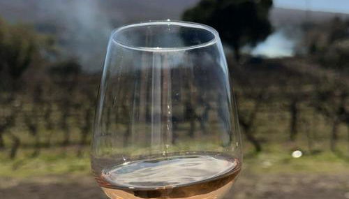 Suite in vigneto - Foto 3