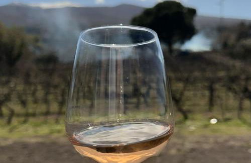 Suite in vigneto - Foto 3