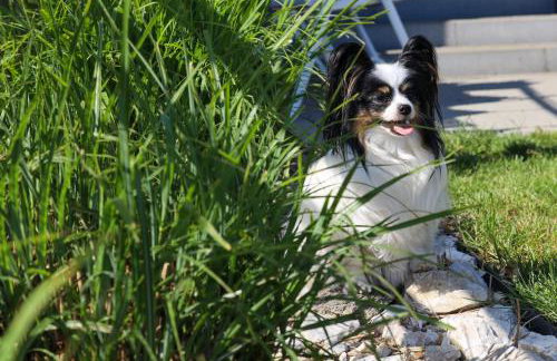 Apartament Komandorski przy Aquaparku - Foto 20