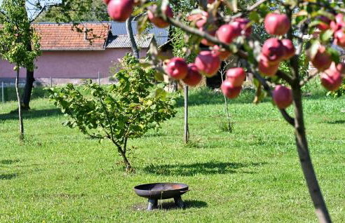 Gorgeous Home In Plesivica With Wifi - Foto 17