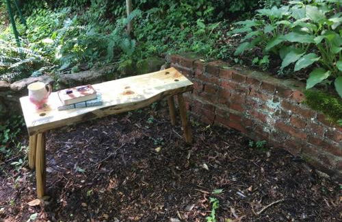 The Nuthatch Cabin - Asheville Tiny Home near the Smokie Mountains! - Foto 24
