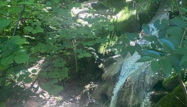 Villa Faro - Foto 4, Garden