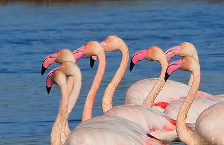 La Casa de Oti playa Mazagón vistas al mar - Foto 13