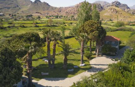 Heliotopos - Photo 33