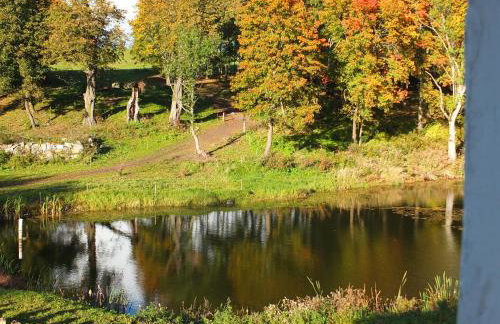 Dwór Klewiny - Foto 14