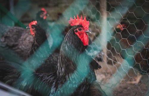 Casa Ambrogi Stefano - Photo 57