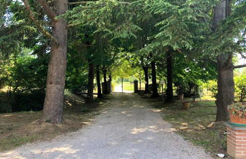 Elegant Villa in Tuoro sul Trasimeno with Private Pool - Foto 33