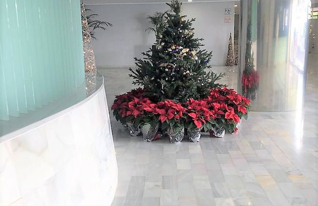 Fantastic Apartment 2 Minutes Walk From The Beach - Foto 28