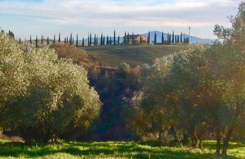 Podere Fornaci - Foto 19