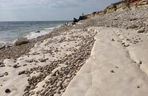 Guest House Mareda Palms - Photo 17