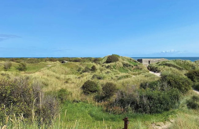 4 Star Holiday Home in Skagen - Foto 7