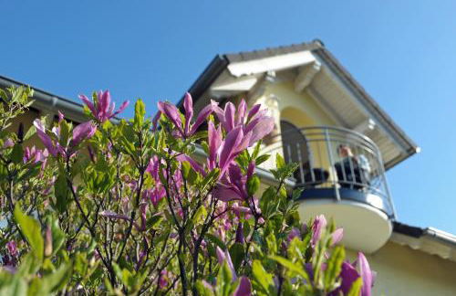 Ferienwohnung Landfein Schalkenmehren - Foto 34