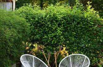 Chambre d'hôtes cosy Le Chalet -Tarn - Foto 36