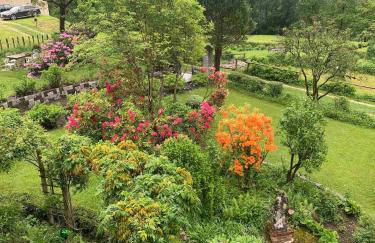 Paola’s Country Home - Vanoi Primiero Trentino - Foto 35