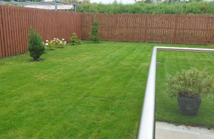 Entire Spacious 3-Bed Family Home, City Centre, Free Parking, Garden - Foto 45