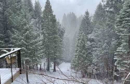 Lux, designer 8-acre retreat with private creek - Foto 36