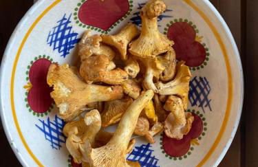 The Wooden House - Foto 21