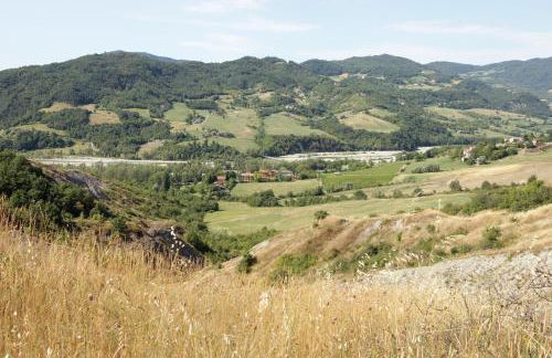 Podere Pradarolo - Photo 18