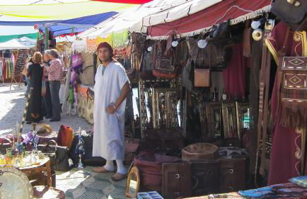 Flor da Ramila - Foto 16