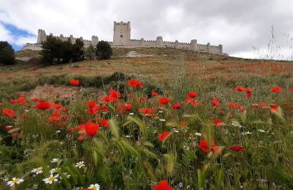 ALMA de la RIBERA - Foto 32