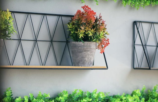 Remarkable 3-bed Apartment in Zanzibar - Photo 47