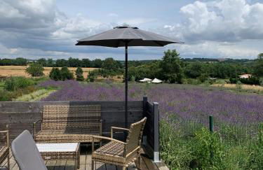 DOMAINE D'ELUSA - Photo 44