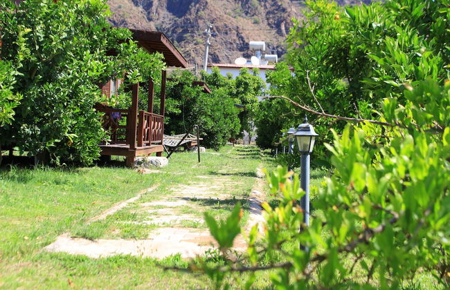 Ikiz Villas - Foto 38