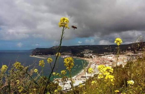 Sunset Apartment by Sesimbra Sun Sea - Foto 60