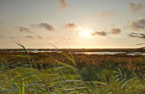 Casa da Balseira - Foto 9